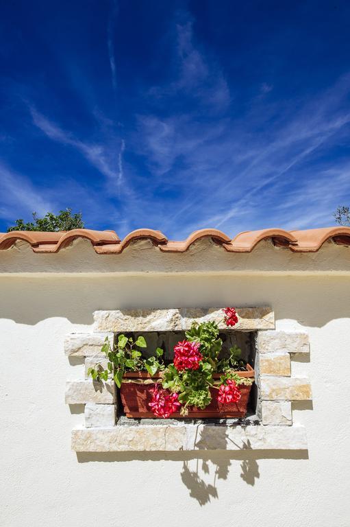 Vila Olive House Zadar Exteriér fotografie